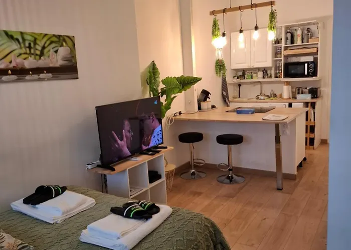 Διαμέρισμα La Casita - Gare St-roch - Clim, Wifi, Tv Μονπελιέ